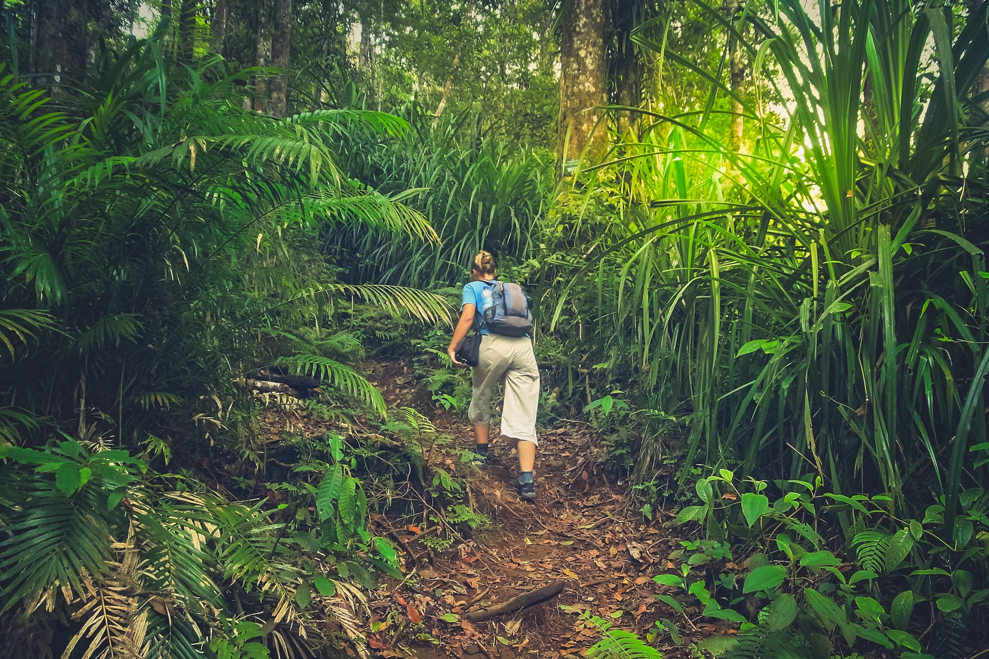 ultra-trail